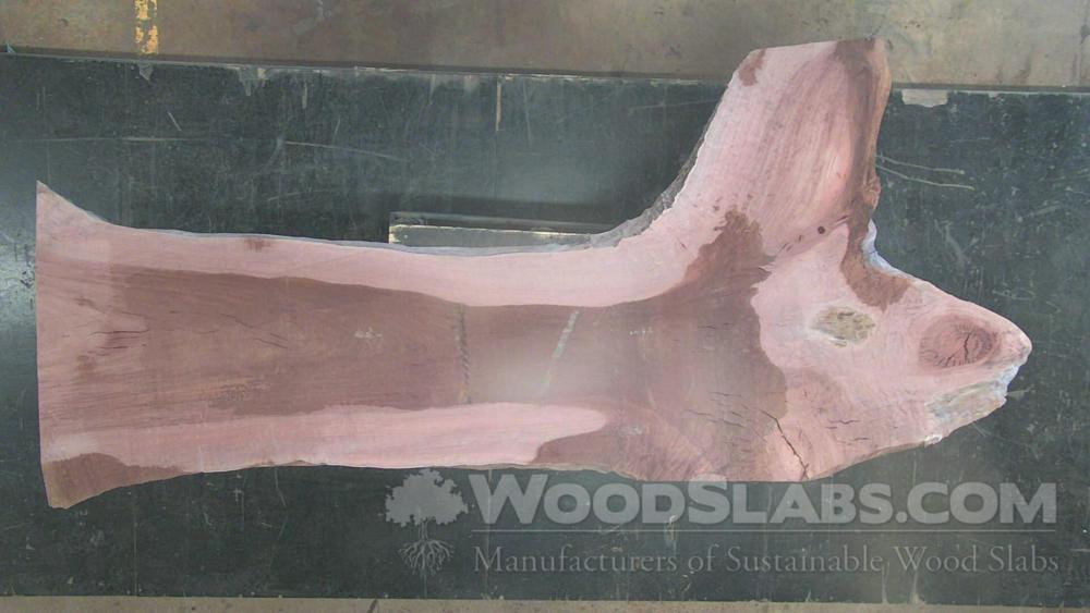 Eucalyptus Wood Slab #CBU-1DB-ZIJI