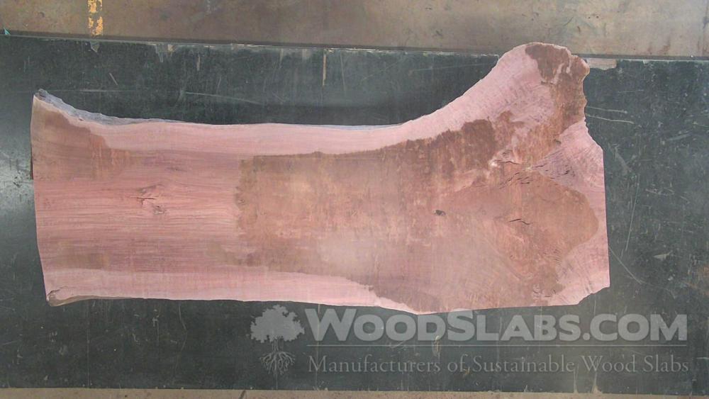 Eucalyptus Wood Slab #J4R-0UT-MMB0