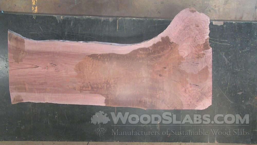 Eucalyptus Wood Slab #DUS-3XK-U9KE