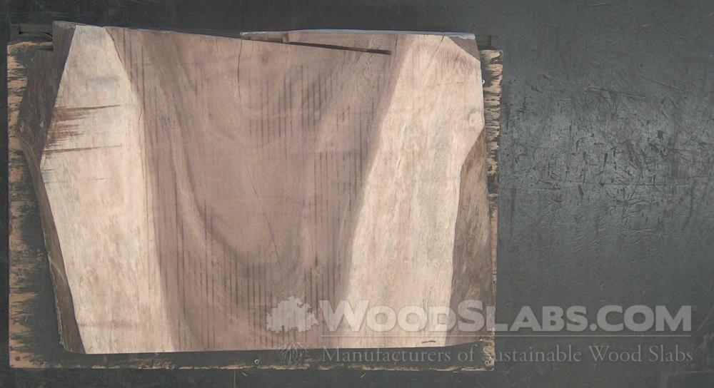 Parota Wood Slab #JC2-UNN-UZGJ