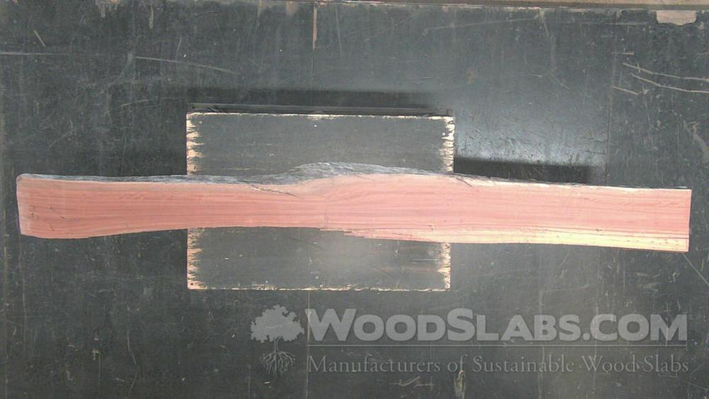 Eucalyptus Wood Slab #Y36-7VP-Y0YH