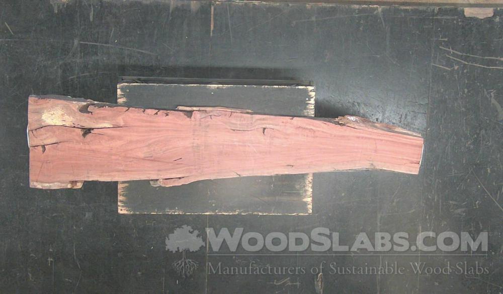 Eucalyptus Wood Slab #HOQ-SPD-B15Q