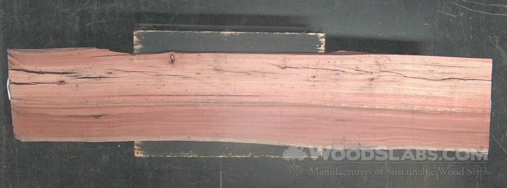 Eucalyptus Wood Slab #NCX-Z9R-R0PQ
