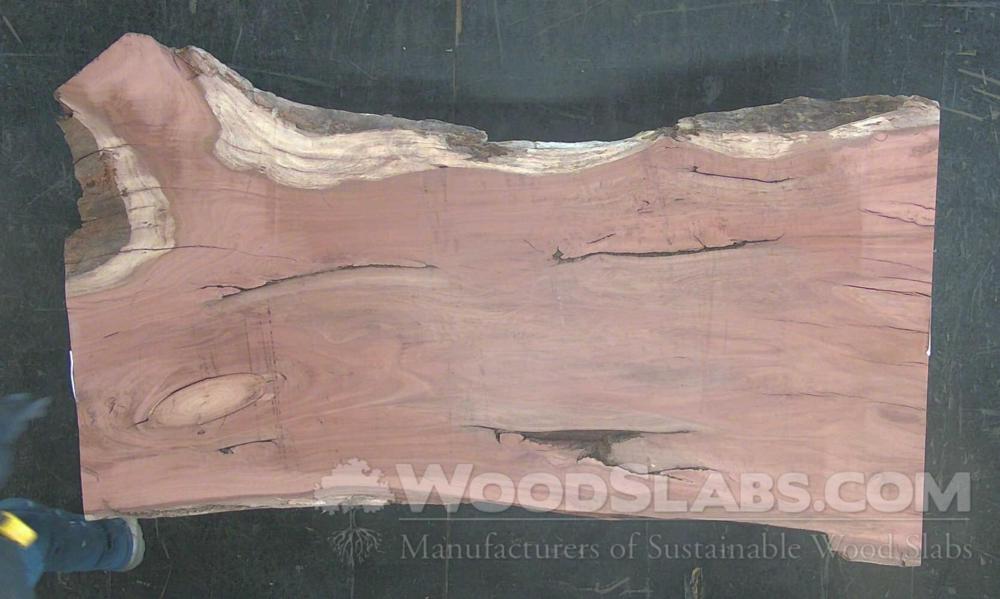 Eucalyptus Wood Slab #UMR-OQ3-3BA7