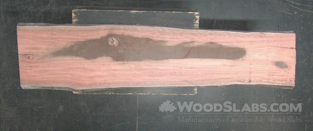 Eucalyptus Wood Slab #ICM-3CK-G8ZN