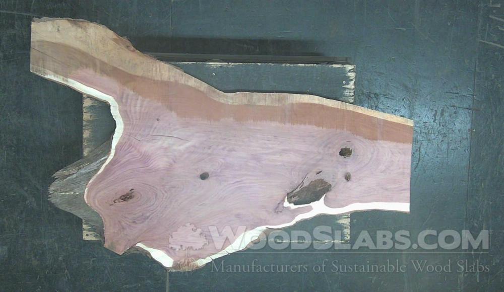 Aromatic Cedar Wood Slab #UPM-8PI-1HTL
