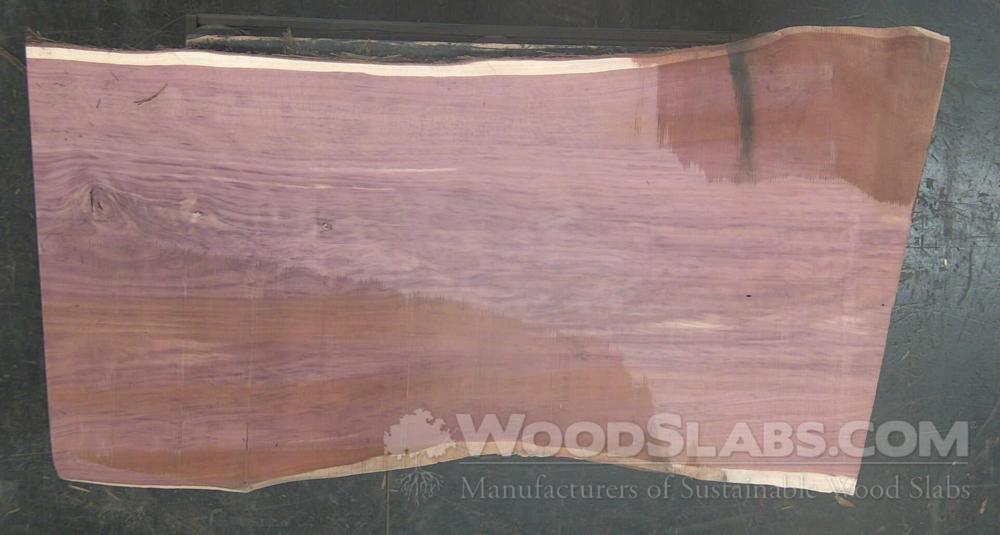 Aromatic Cedar Wood Slab #C7Y-XSA-Z8FM