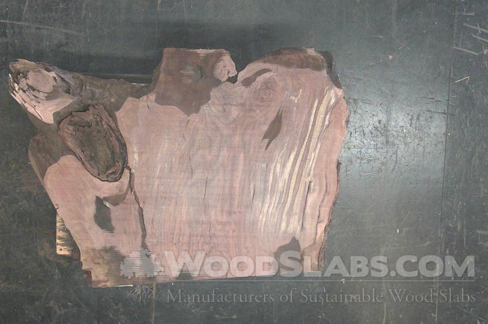 Claro Walnut Wood Slab #20X-OJY-WOQK