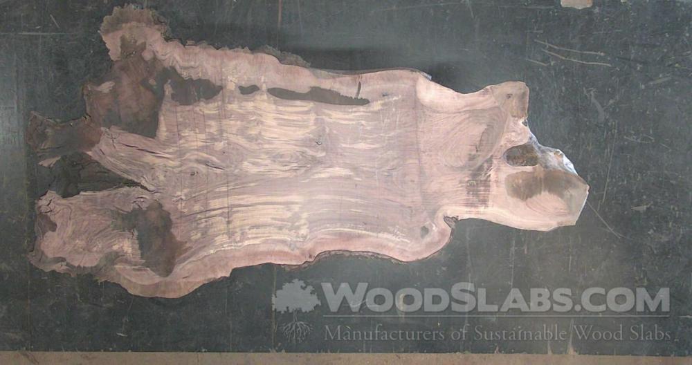 Claro Walnut Wood Slab #1ZA-DQB-ZKF6