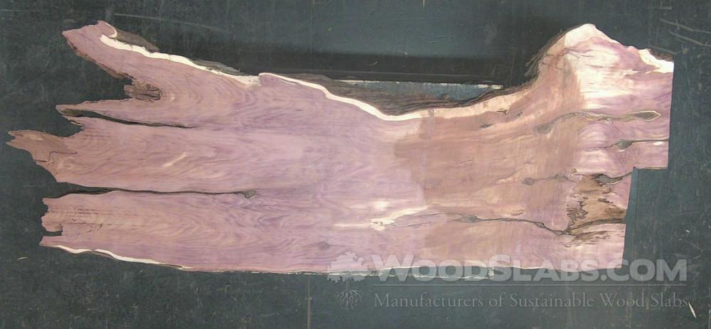 Aromatic Cedar Wood Slab #M6D-4NL-V7CW
