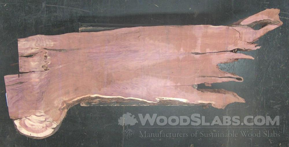 Aromatic Cedar Wood Slab #4S8-IH0-ZD0E