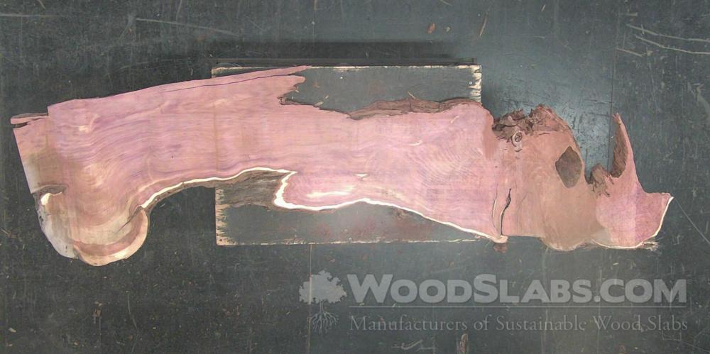Aromatic Cedar Wood Slab #420-O80-1KR8
