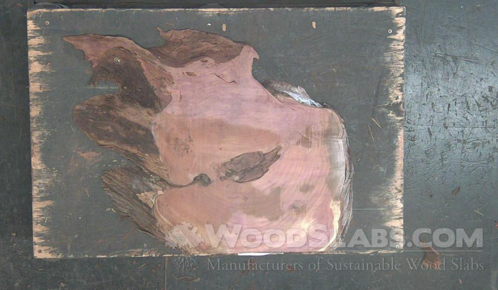 Aromatic Cedar Wood Slab #V7J-C6S-9XMN