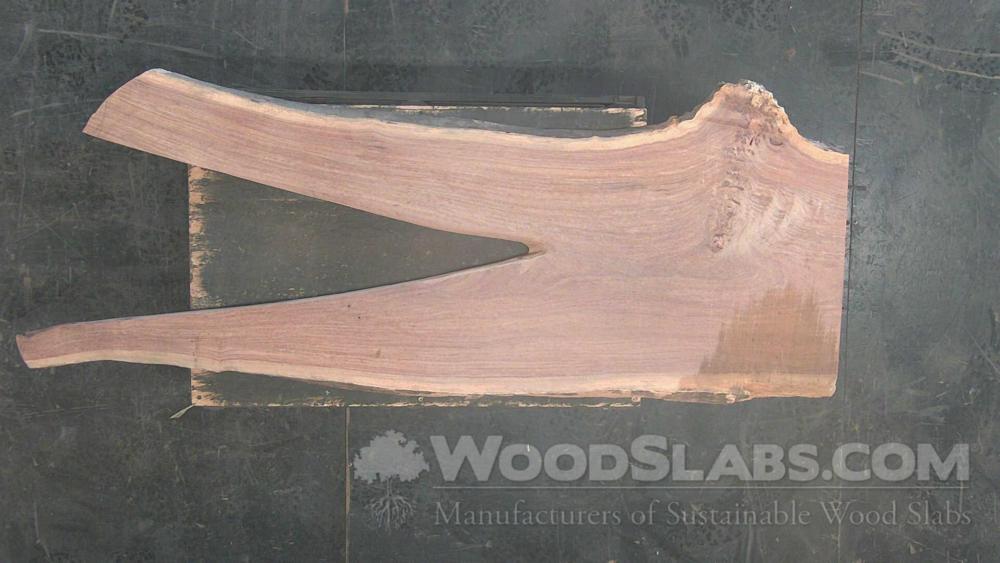 Cumaru Wood Slab #WP7-V71-2ICZ