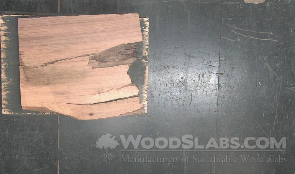 Parota Wood Slab #WZR-RGH-K3AM