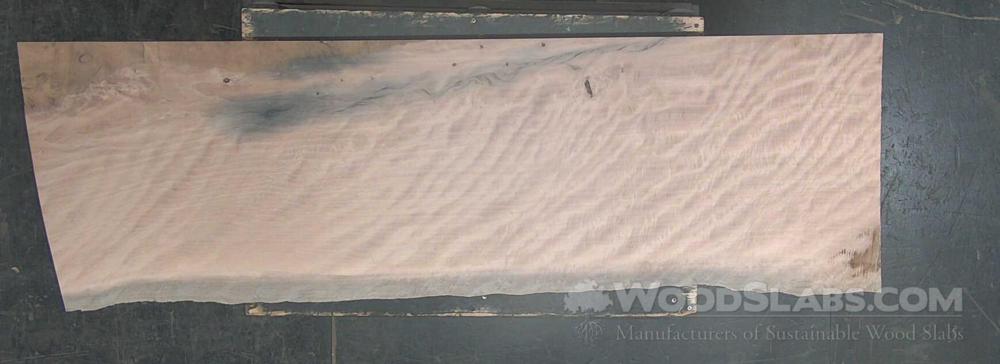 Live Oak Wood Slab #AIG-WJ0-2SGT