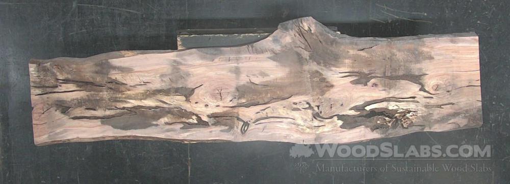 Sycamore Wood Slab #98A-2AJ-2GEL