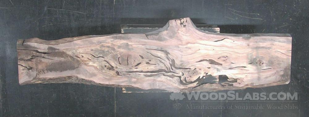 Sycamore Wood Slab #503-YFI-7EWZ