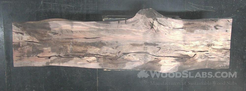 Sycamore Wood Slab #E2R-F8O-B6HC