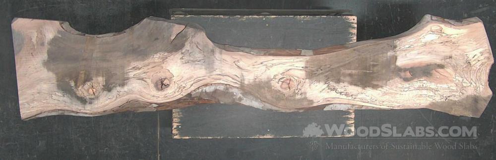 Sycamore Wood Slab #U3D-DXU-T2W4