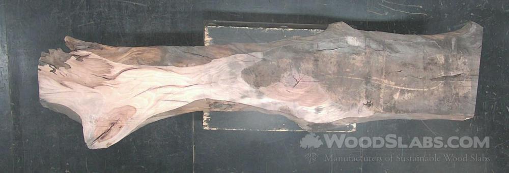 Sycamore Wood Slab #8ZI-DVJ-RJ3L