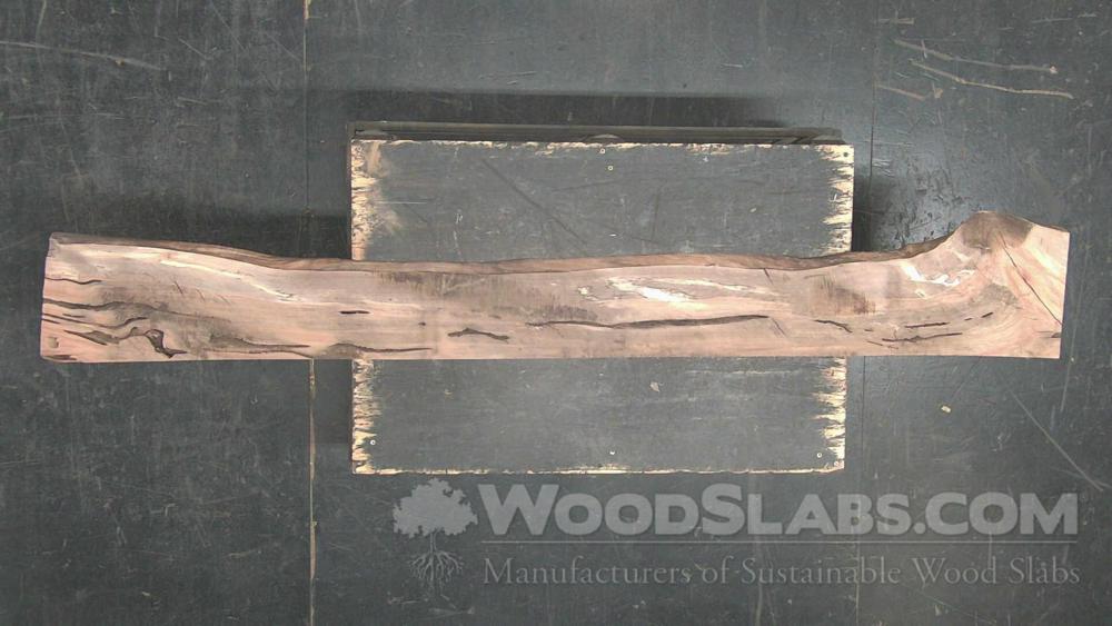 Sycamore Wood Slab #K8W-ECQ-V5RX