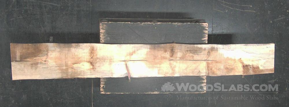Sycamore Wood Slab #SX8-W53-UJ2S