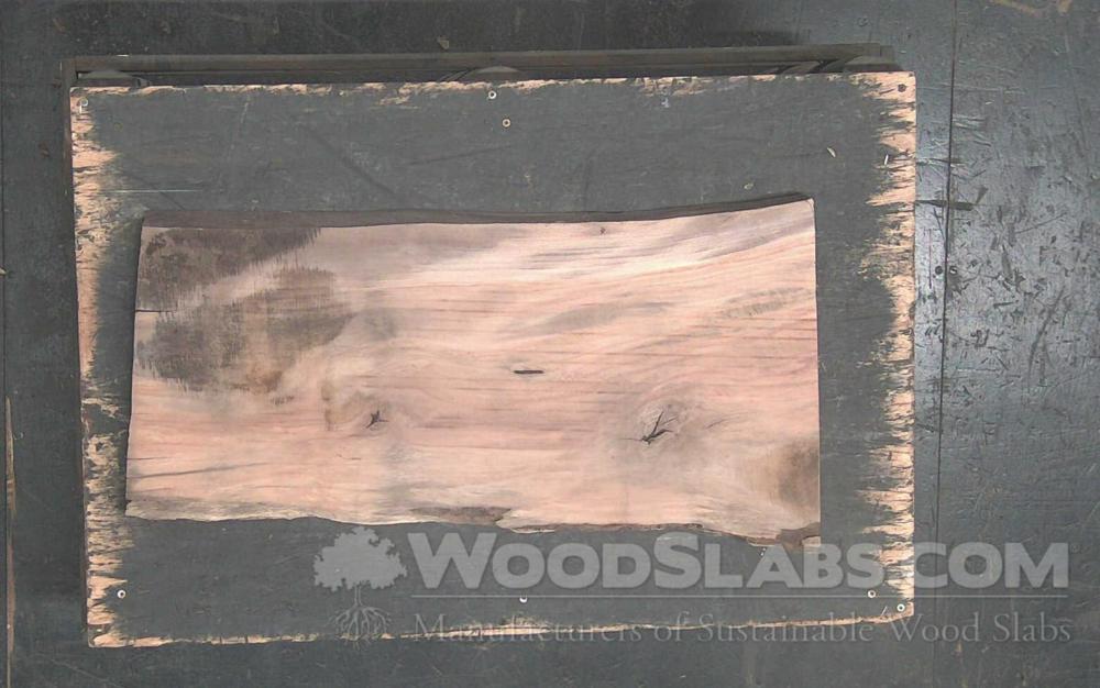 Sycamore Wood Slab #XHT-KHH-B8IZ