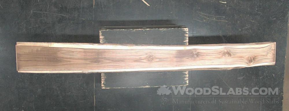 Latin Teak Wood Slab #VX2-MGW-L6BY