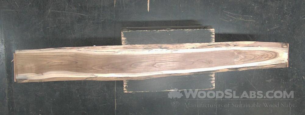Latin Teak Wood Slab #MX9-FLD-9H8O