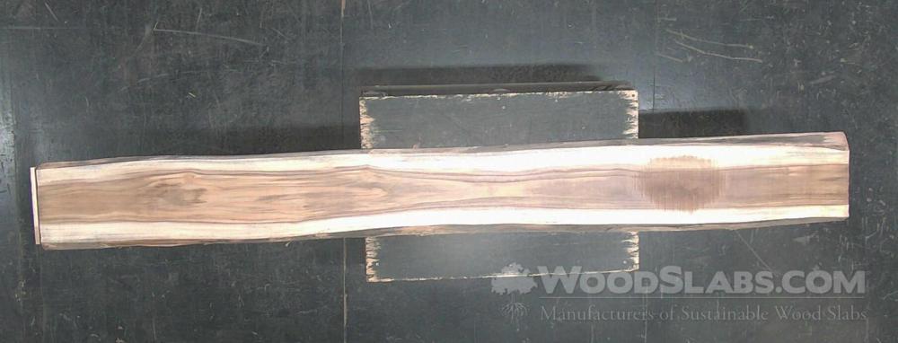 Latin Teak Wood Slab #SEG-O69-IELR