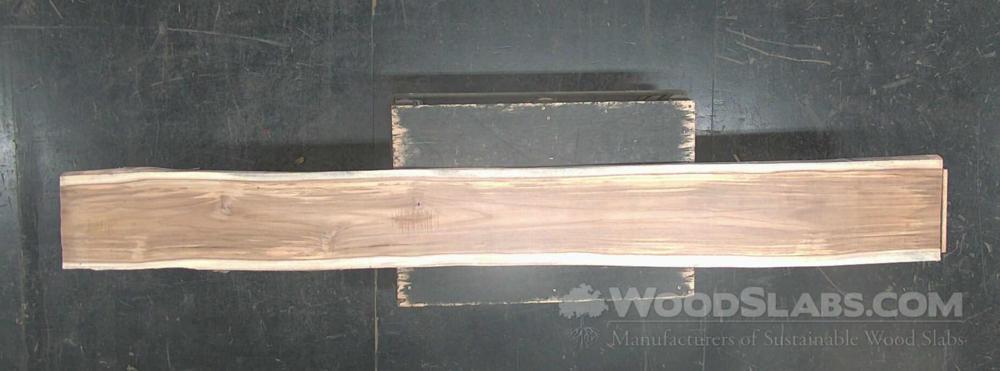 Latin Teak Wood Slab #JR4-N8Q-LXSI