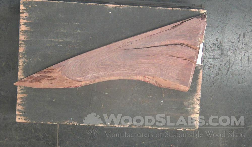 Cumaru Wood Slab #T9T-5A0-WMTB