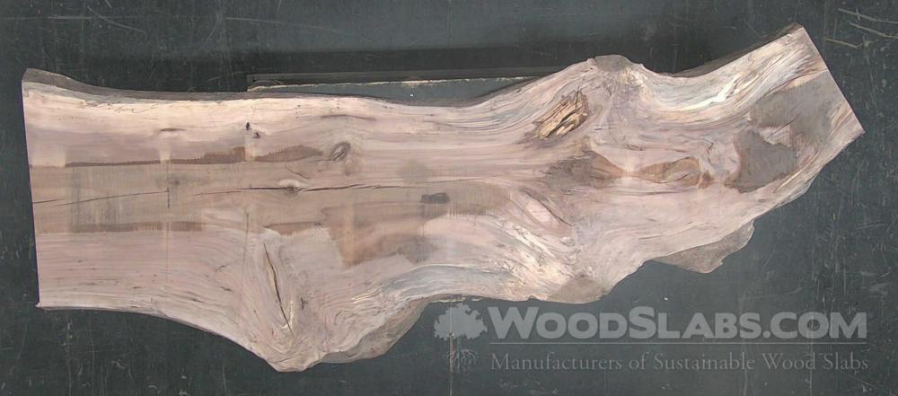Pecan Wood Slab #MLT-XFL-H263