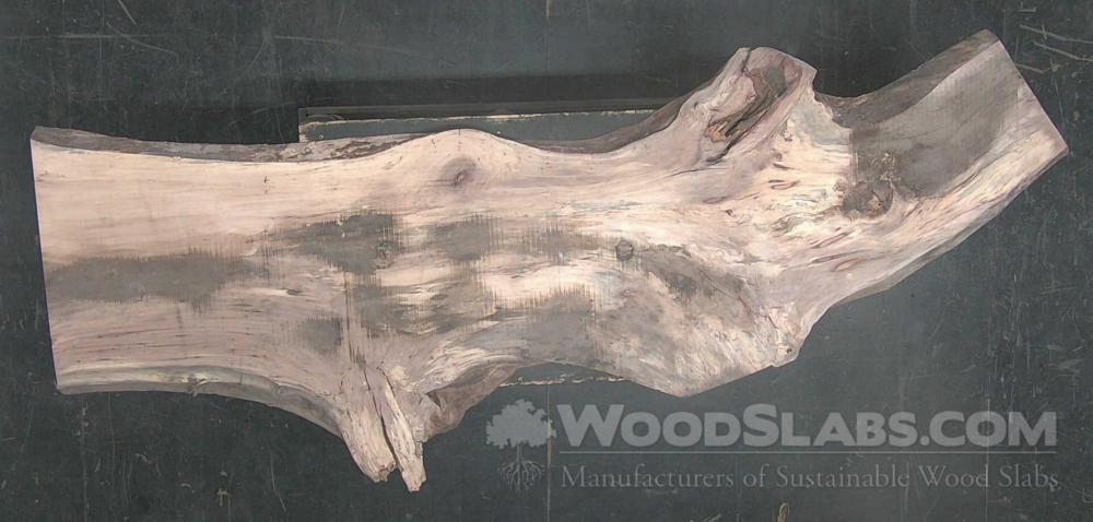 Pecan Wood Slab #03S-L6D-ZZM2