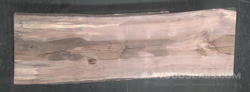 Pecan Wood Slab #JSA-JMQ-E0BZ