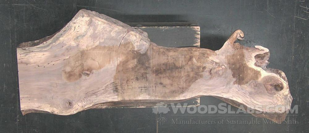 Pecan Wood Slab #L6L-J7D-MJ7N