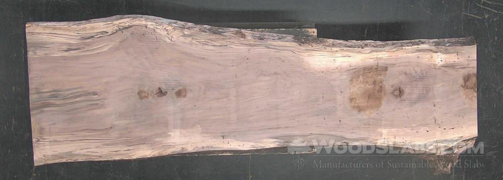 Pecan Wood Slab #V32-OOD-T0Y7