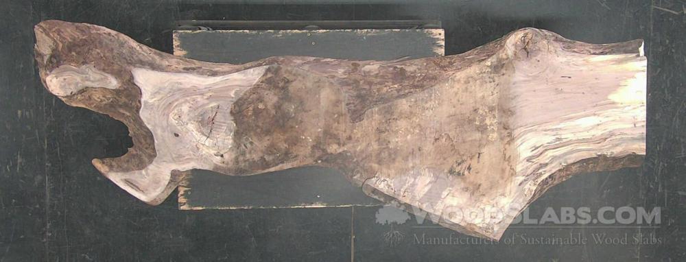 Pecan Wood Slab #AGX-7GR-KACB