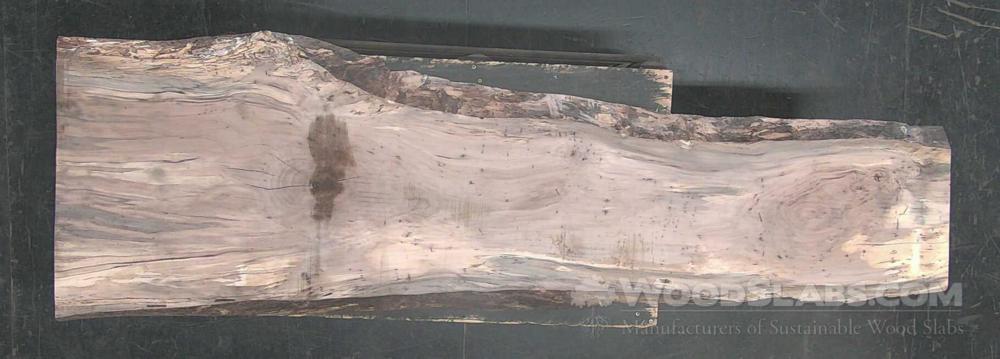 Pecan Wood Slab #OGP-LTS-XV30