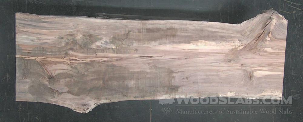 Pecan Wood Slab #2R6-IT9-A19O