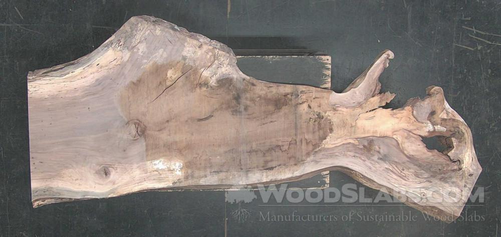Pecan Wood Slab #FMU-7WM-LZQR