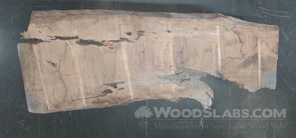 Live Oak Wood Slab #3HC-PO8-EEIU