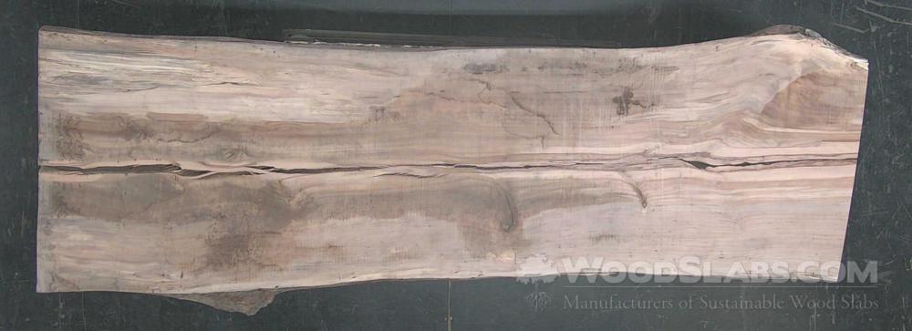Pecan Wood Slab #HDI-7E3-I0KP