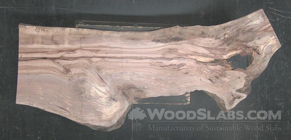 Pecan Wood Slab #5EX-YWU-5FY3
