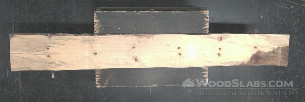 Norfolk Island Pine Wood Slab #0S6-L5J-IEDK