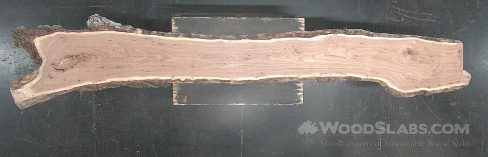 English elm Wood Slab #X9X-BT1-LNWK