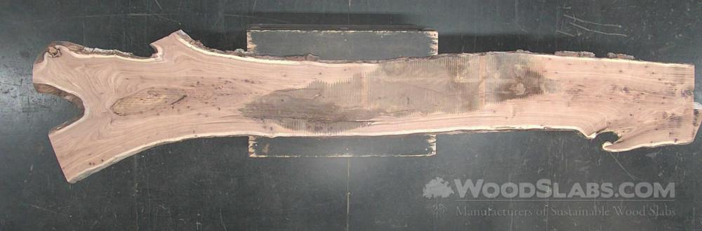 English elm Wood Slab #OIN-L01-8FYS