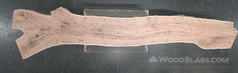 English elm Wood Slab #BZQ-QGQ-ACQV