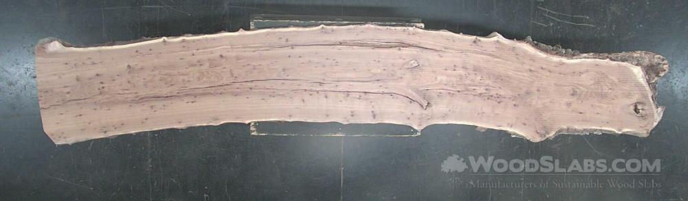 English elm Wood Slab #DYK-4TU-1K70